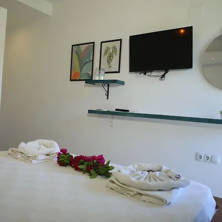 Hotel Smyrna 3*
